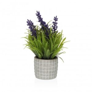 PLANTA LAVANDA CON MACETA